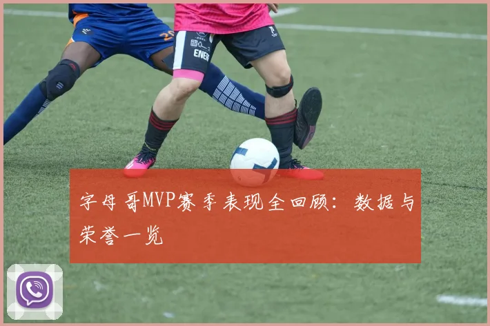 字母哥MVP赛季表现全回顾：数据与荣誉一览