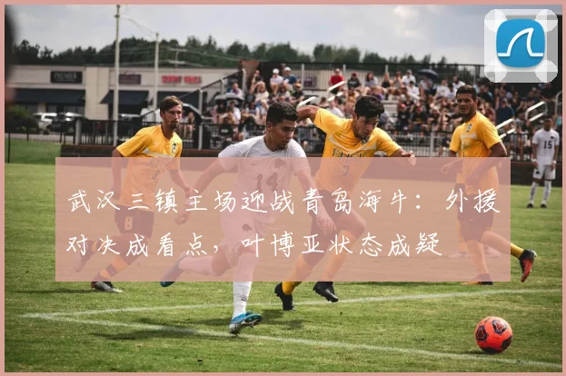 武汉三镇主场迎战青岛海牛:外援对决成看点,叶博亚状态成疑